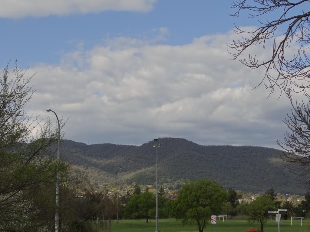 Roydons Motor Inn Tamworth Dış mekan fotoğraf